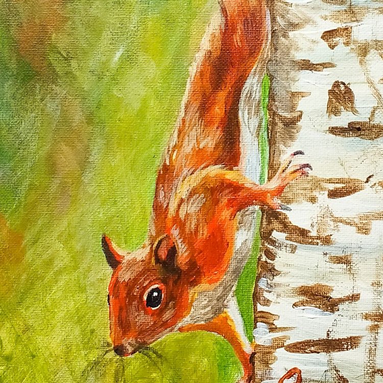 Inquisitive Squirrel