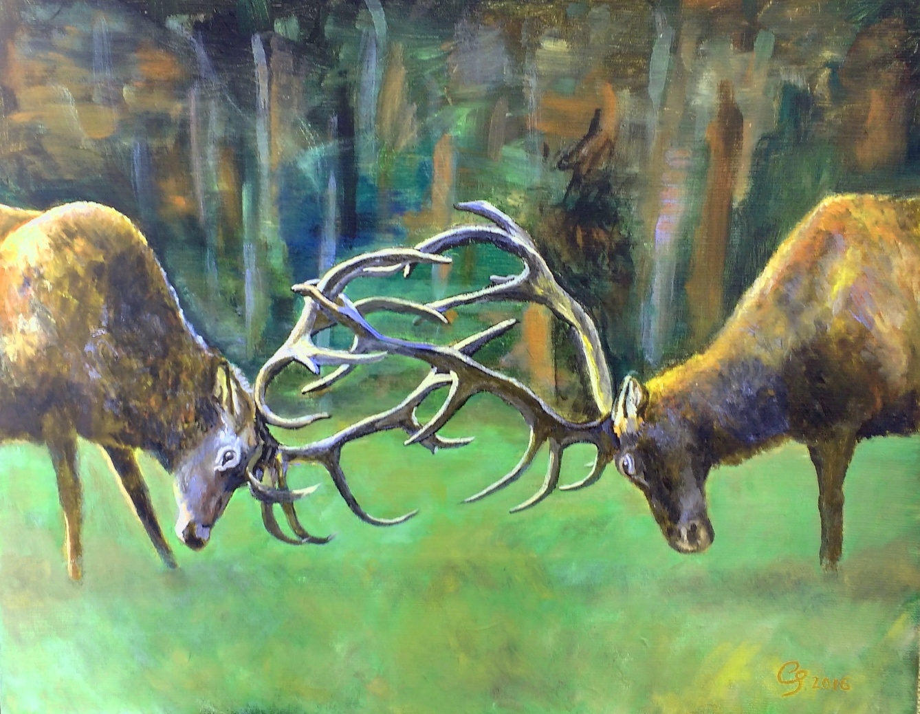 Deer1