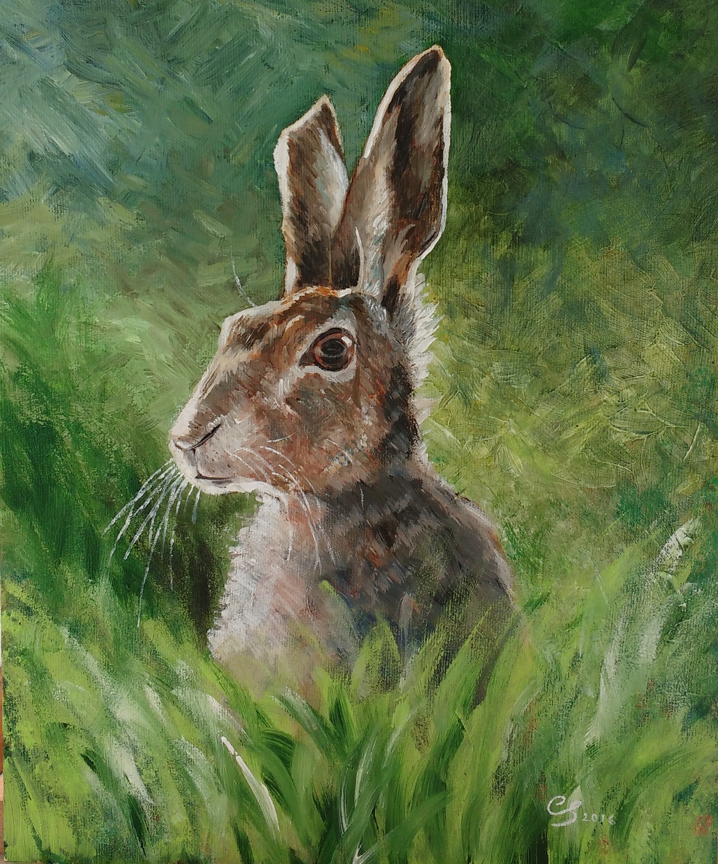 Hare